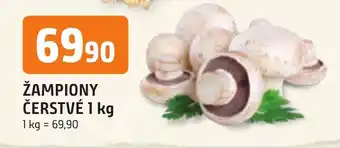 Trefa ŽAMPIONY ČERSTVÉ 1 kg nabídka