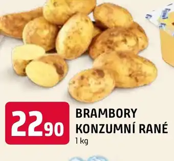 Terno BRAMBORY KONZUMNÍ RANÉ nabídka