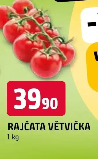 Terno RAJČATA VĚTVIČKA nabídka