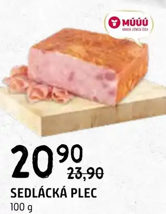 Terno SEDLÁCKÁ PLEC nabídka