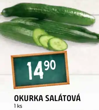 Terno OKURKA SALÁTOVÁ nabídka