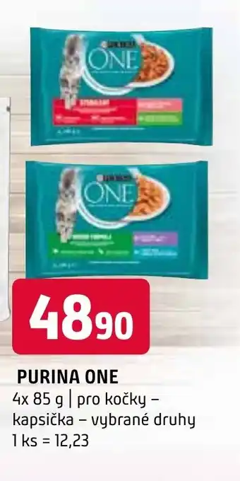 Terno PURINA ONE nabídka