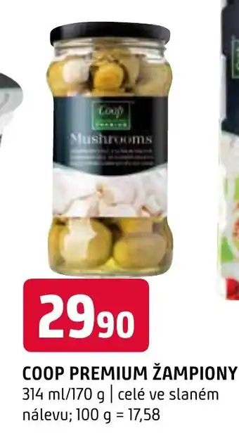 Terno COOP PREMIUM ŽAMPIONY nabídka