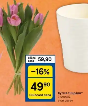 Tesco Kytice tulipánů nabídka