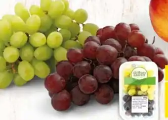 Tesco Hrozny révy vinné bezpeckové mix nabídka