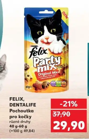 FELIX, DENTALIFE Pochoutka pro kočky