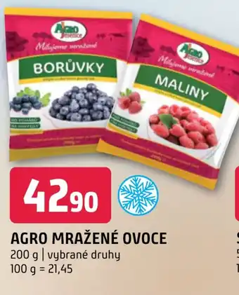 Terno AGRO MRAŽENÉ OVOCE 200 g nabídka