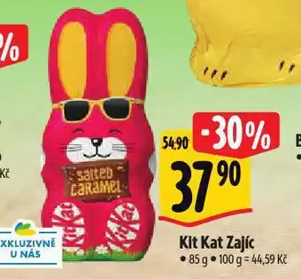 Albert Kit kat zajíc nabídka