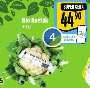 Albert Bio květák nabídka