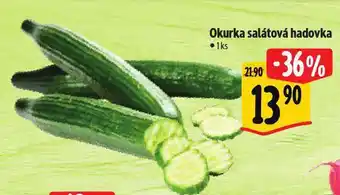 Albert Okurka salátová hadovka nabídka