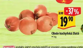 Albert Cibule kuchyňská žlutá nabídka