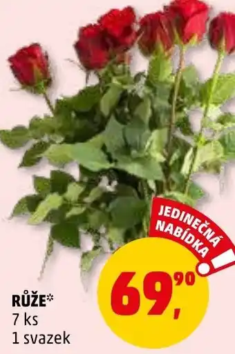 Penny Market RŮŽE nabídka