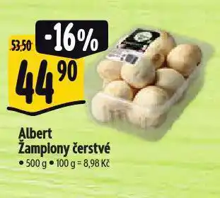 Albert Žampiony čerstvé nabídka