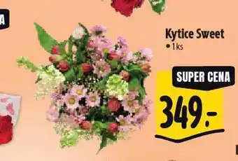 Albert Kytice sweet nabídka
