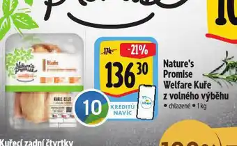 Albert Welfare kuře z volného výběhu nabídka