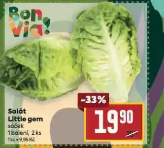 Billa Salát little gem nabídka