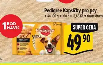 Albert Pedigree kapsičky pro psy nabídka
