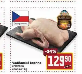 Billa Vodňanská kachna nabídka