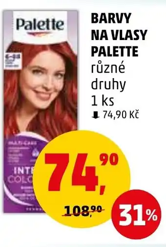 Penny Market BARVY NA VLASY PALETTE nabídka