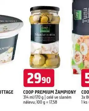 Terno Žampiony nabídka