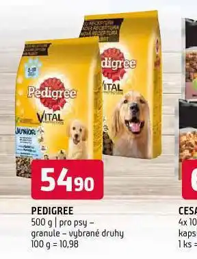 Terno Pedigree granule pro psy nabídka