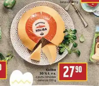 Koliba