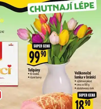 Albert Tulipány nabídka