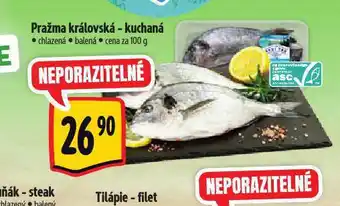 Albert Pražma královská kuchaná nabídka