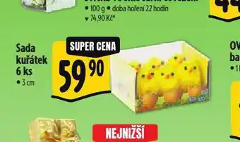 Albert Sada kuřátek nabídka