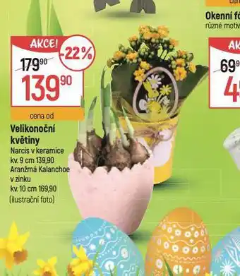 Velikonoční květiny