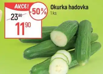 Globus Okurka hadovka nabídka