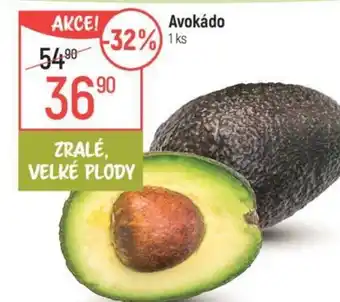 Globus Avokádo nabídka