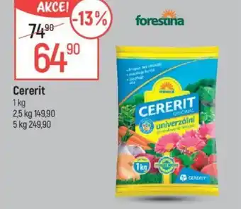 Globus Cererit nabídka