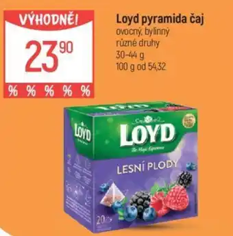 Globus Loyd pyramida čaj nabídka