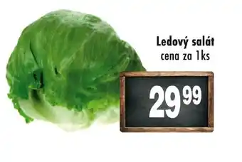 Qanto Ledový salát nabídka