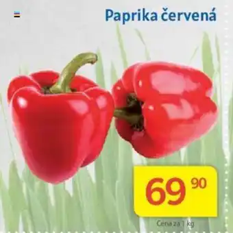 Kubík potraviny Paprika červená nabídka