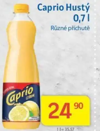 Kubík potraviny Caprio Hustý 0.7L nabídka