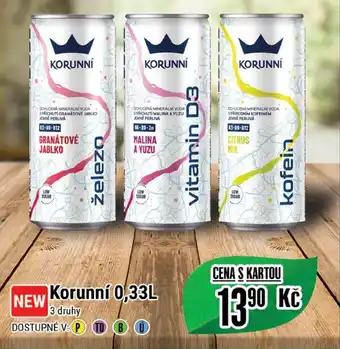 Tamda Foods Korunní 0,33L nabídka