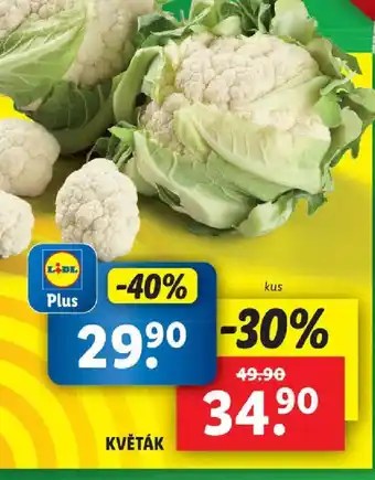 Lidl KVĚTÁK nabídka