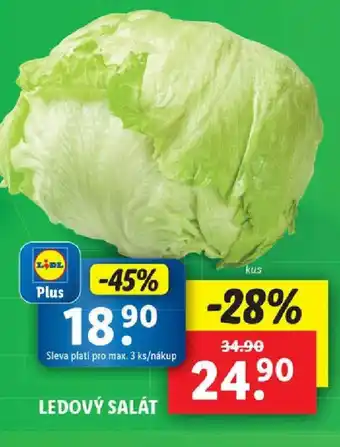 Lidl LEDOVÝ SALÁT nabídka