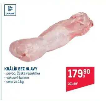 Makro KRÁLÍK BEZ HLAVY nabídka