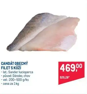 Makro CANDÁT OBECNÝ FILET S KŮŽÍ nabídka