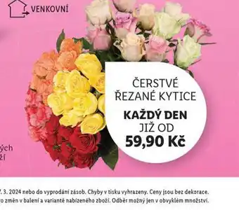 Lidl Čerstvé řezané kytice nabídka