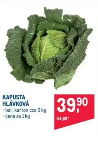 KAPUSTA HLÁVKOVÁ