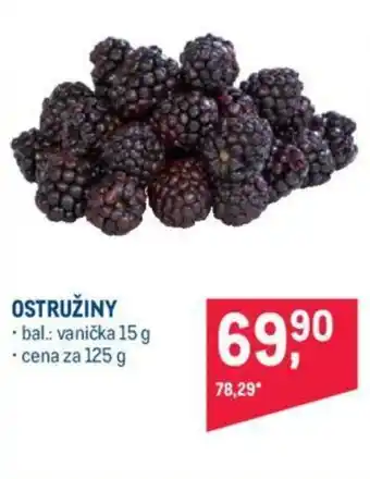 Makro OSTRUŽINY nabídka