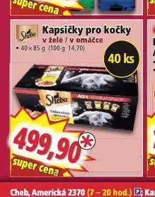Norma Sheba kapsičky pro kočky nabídka
