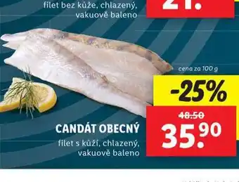 Lidl Candát obecný nabídka