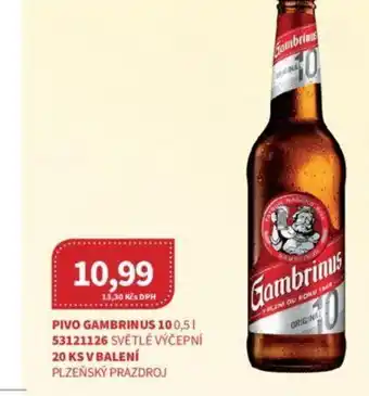 Kubík potraviny PIVO GAMBRINUS 10 0,5L nabídka