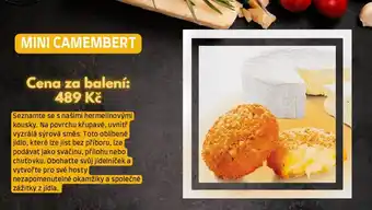 MINI CAMEMBERT