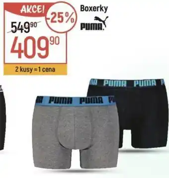 Globus Boxerky nabídka